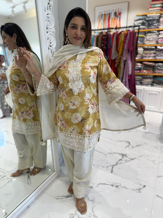 Vani Farshi Set