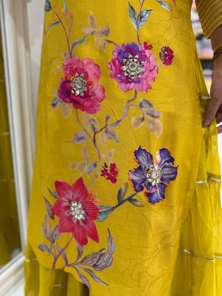Festive Mirror Indian One Piece - Preetibora